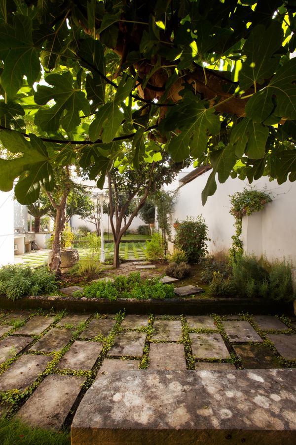 La Naca Della Taranta B&B Galatina Ngoại thất bức ảnh